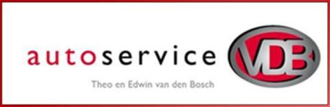 Autoservice van de Bosch